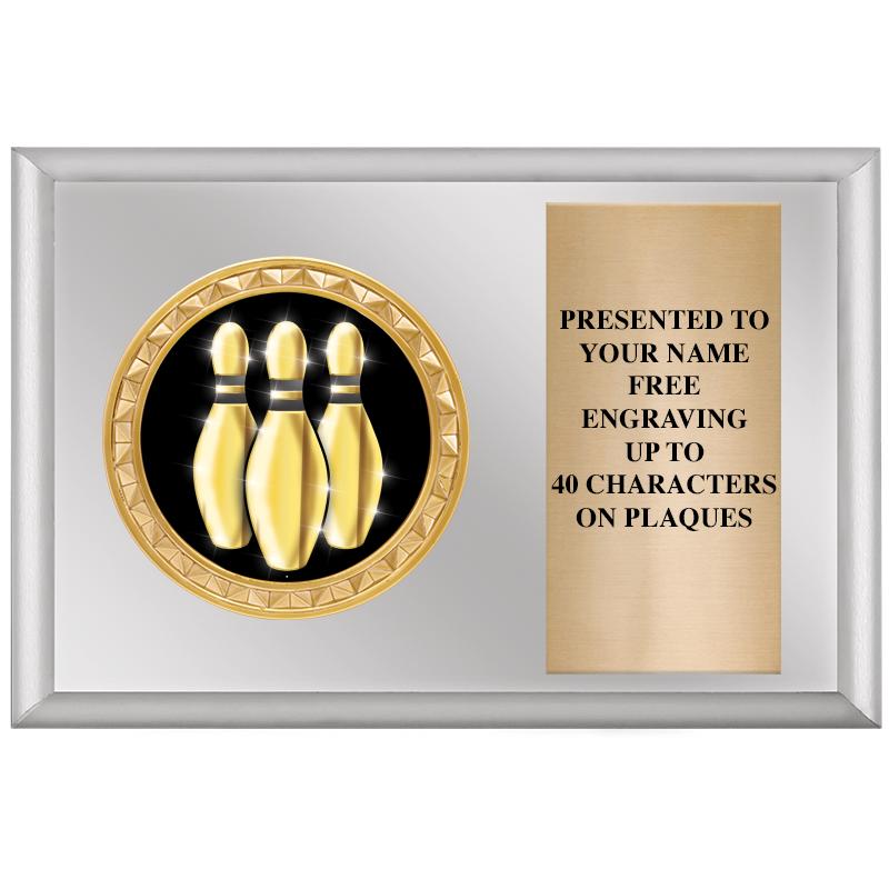 6" X 4" SILVER INSERT PLQ