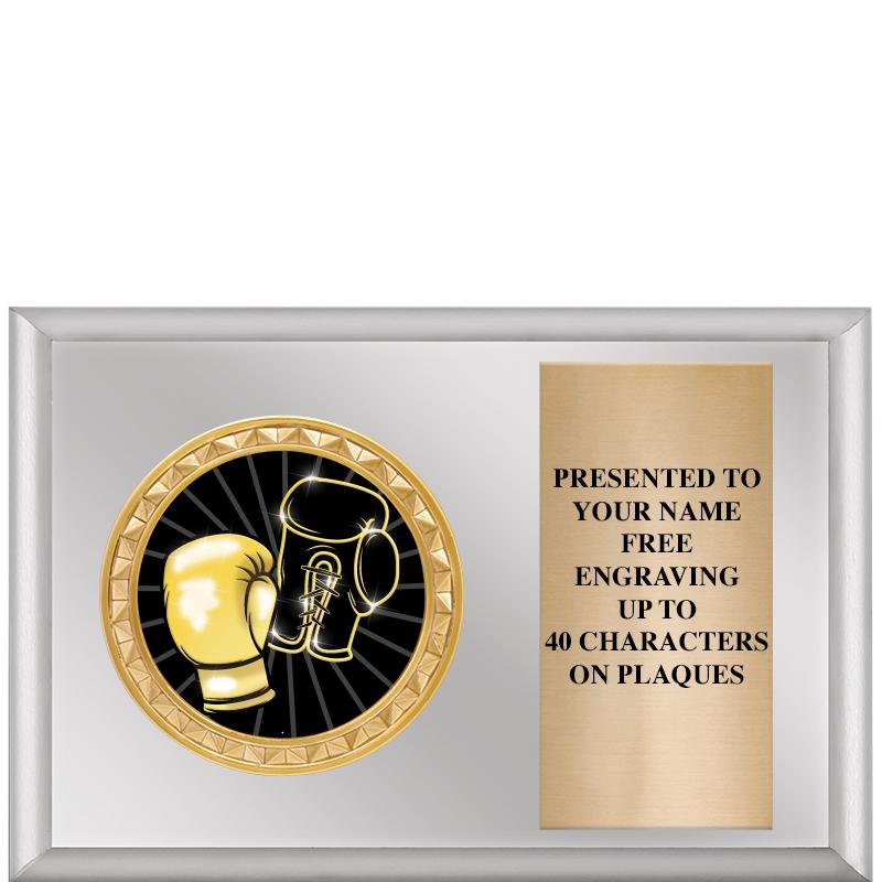 6" X 4" SILVER INSERT PLQ