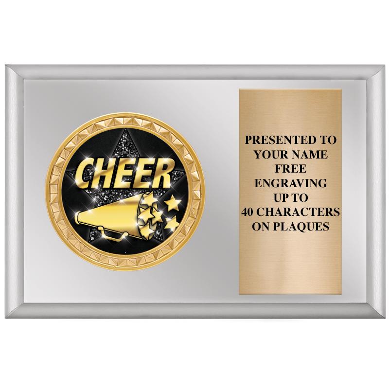 6" X 4" SILVER INSERT PLQ