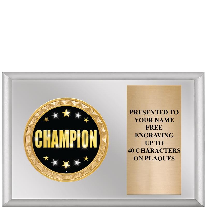 6" X 4" SILVER INSERT PLQ