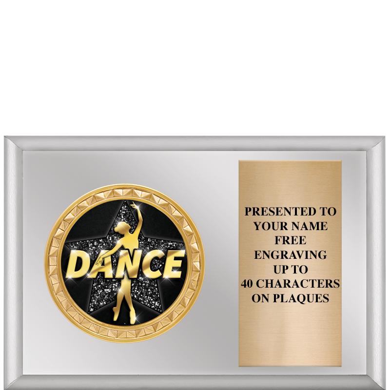 6" X 4" SILVER INSERT PLQ