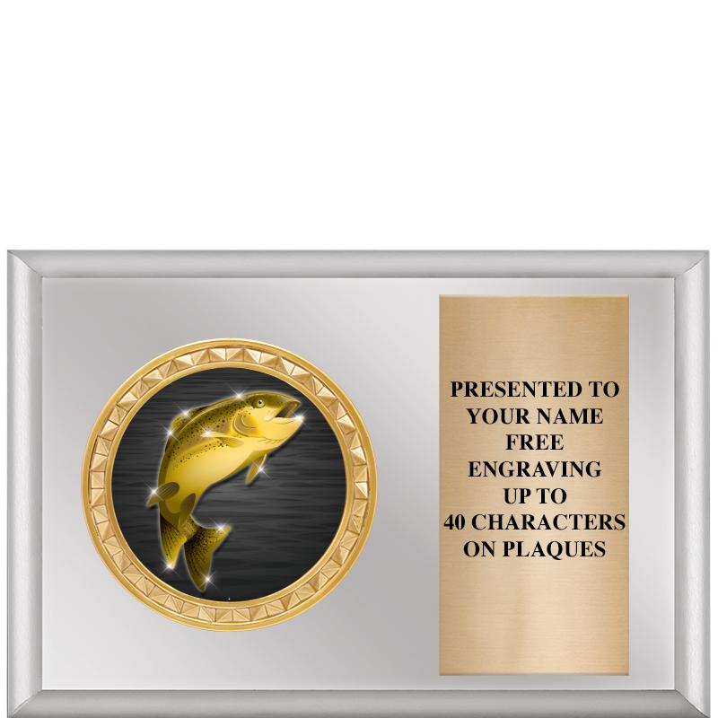 6" X 4" SILVER INSERT PLQ