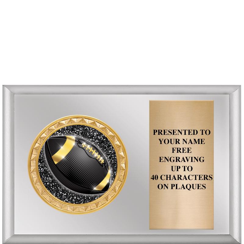 6" X 4" SILVER INSERT PLQ