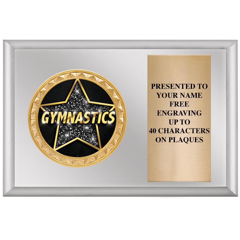 6" X 4" SILVER INSERT PLQ