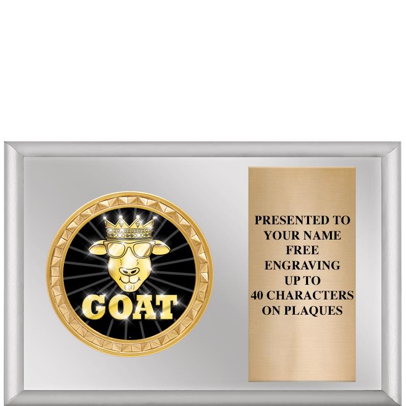 6" X 4" SILVER INSERT PLQ