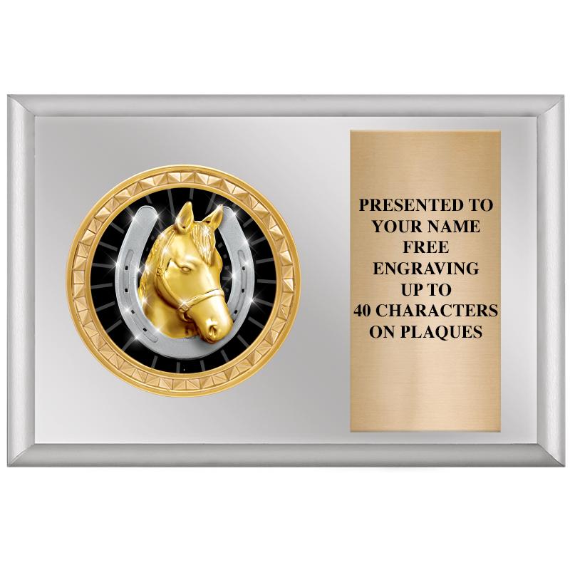 6" X 4" SILVER INSERT PLQ