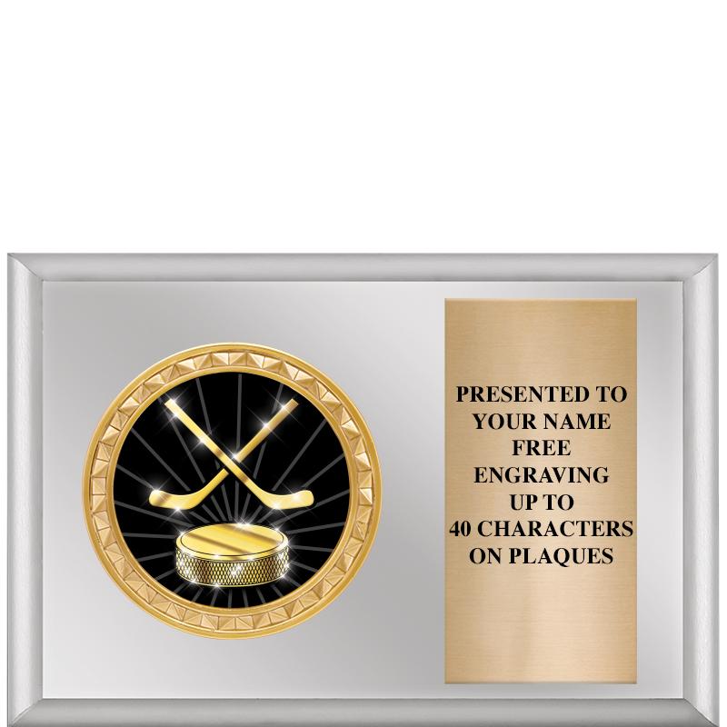 6" X 4" SILVER INSERT PLQ