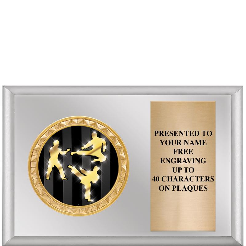 6" X 4" SILVER INSERT PLQ