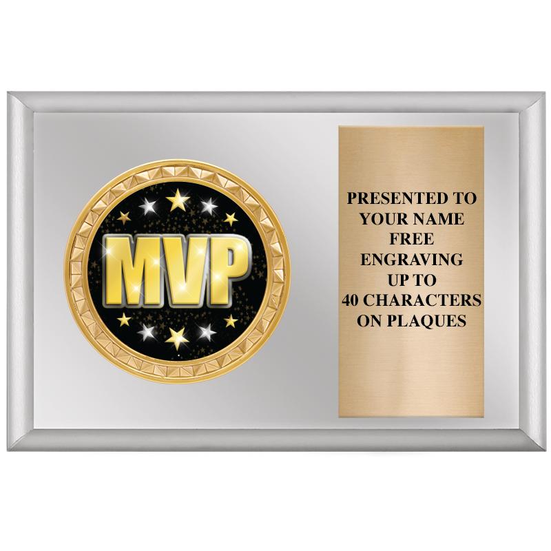 6" X 4" SILVER INSERT PLQ