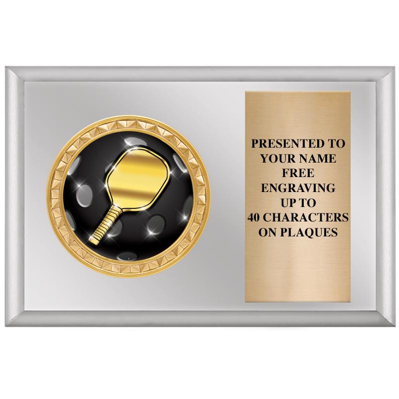 6" X 4" SILVER INSERT PLQ