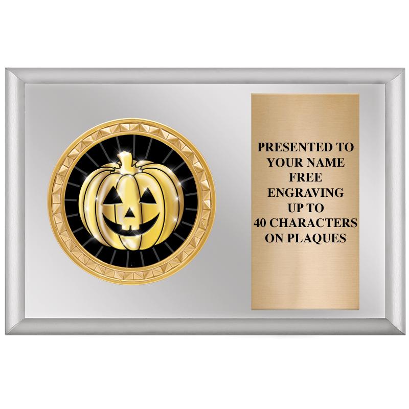 6" X 4" SILVER INSERT PLQ