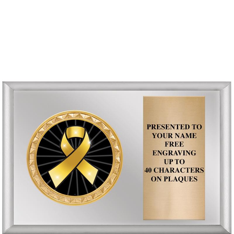 6" X 4" SILVER INSERT PLQ