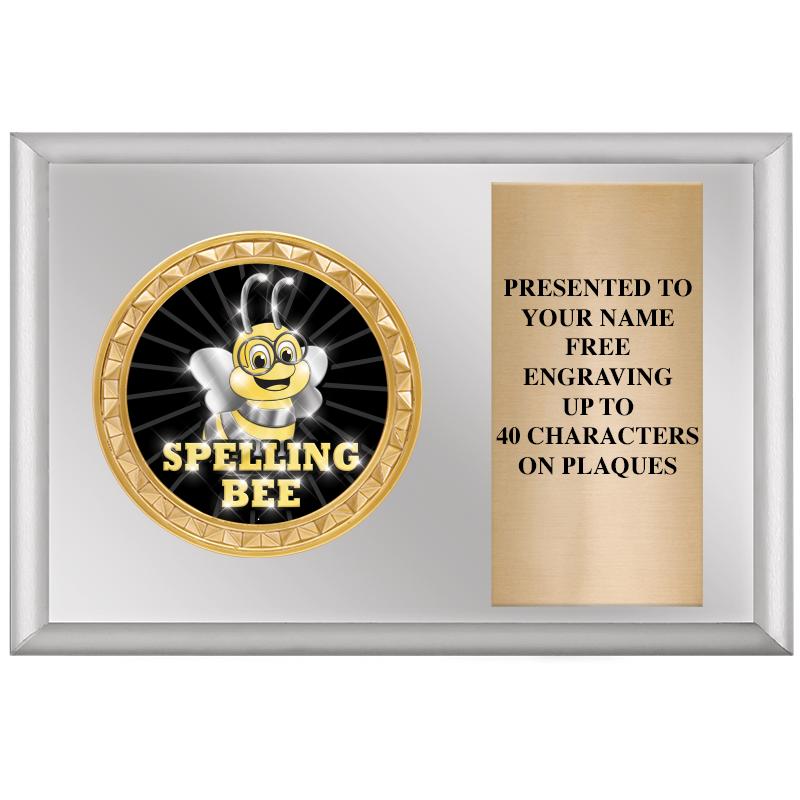 6" X 4" SILVER INSERT PLQ