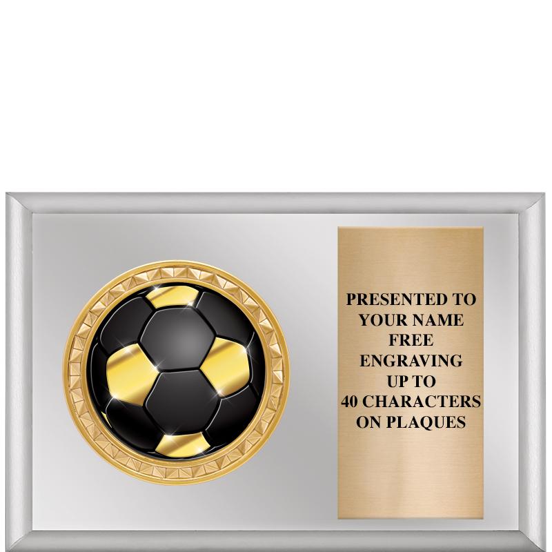 6" X 4" SILVER INSERT PLQ