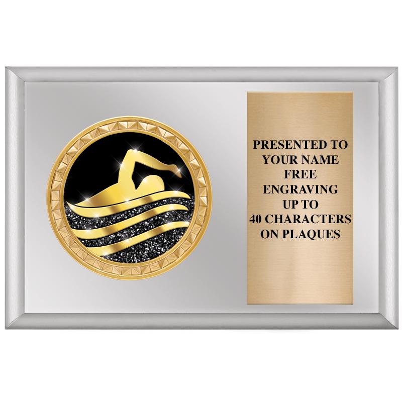 6" X 4" SILVER INSERT PLQ