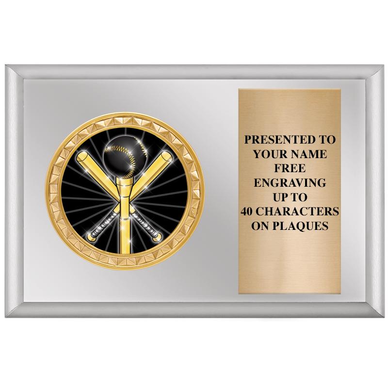 6" X 4" SILVER INSERT PLQ