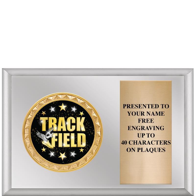 6" X 4" SILVER INSERT PLQ