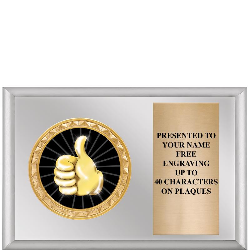 6" X 4" SILVER INSERT PLQ