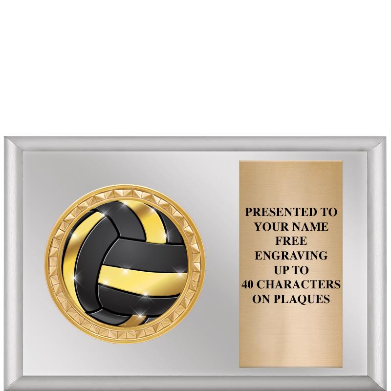 6" X 4" SILVER INSERT PLQ