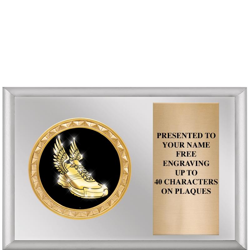 6" X 4" SILVER INSERT PLQ