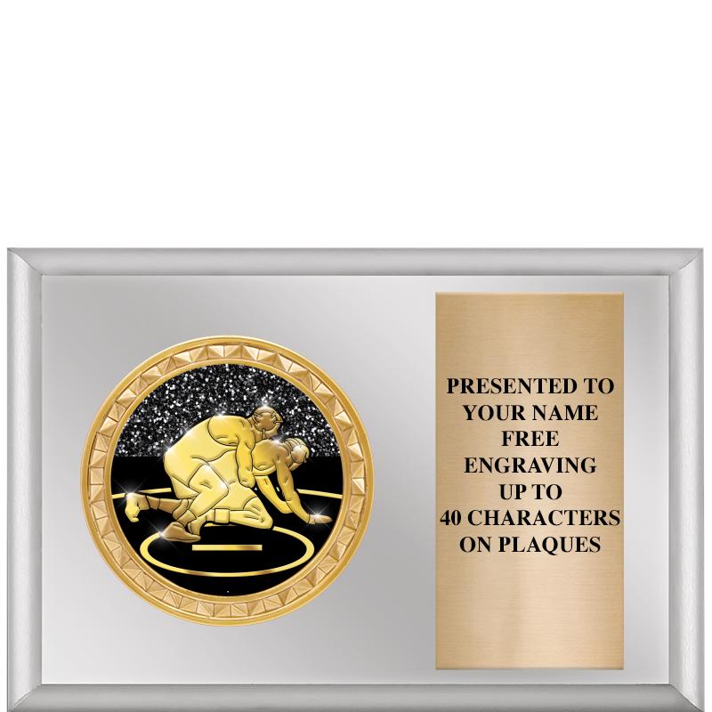 6" X 4" SILVER INSERT PLQ