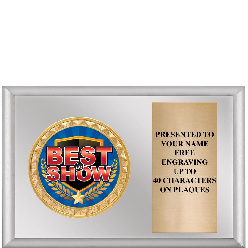 6" X 4" SILVER INSERT PLQ