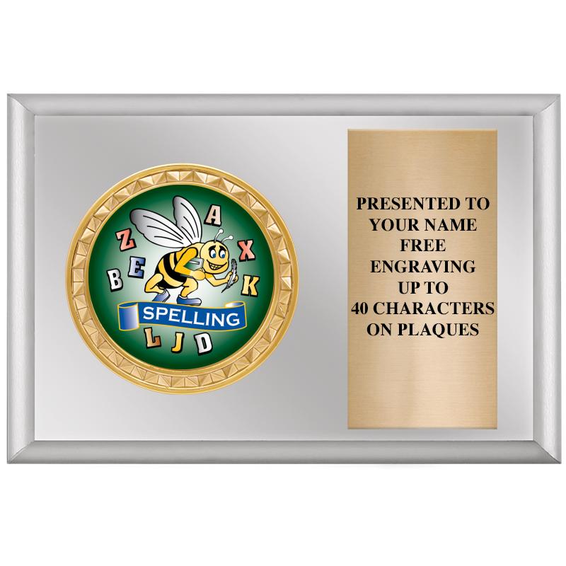 6" X 4" SILVER INSERT PLQ