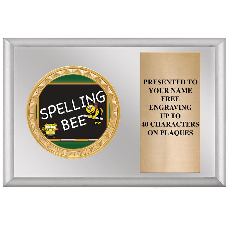 6" X 4" SILVER INSERT PLQ