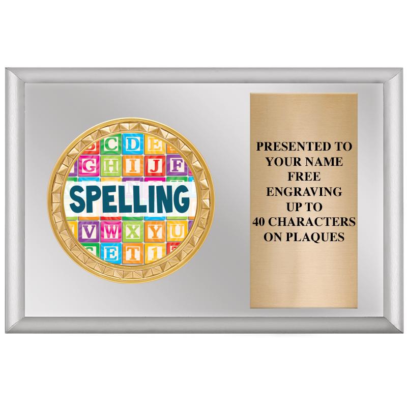 6" X 4" SILVER INSERT PLQ