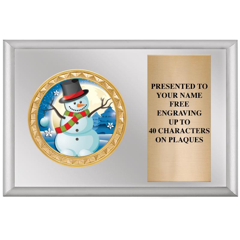 6" X 4" SILVER INSERT PLQ