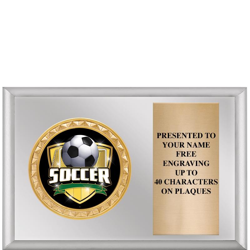 6" X 4" SILVER INSERT PLQ