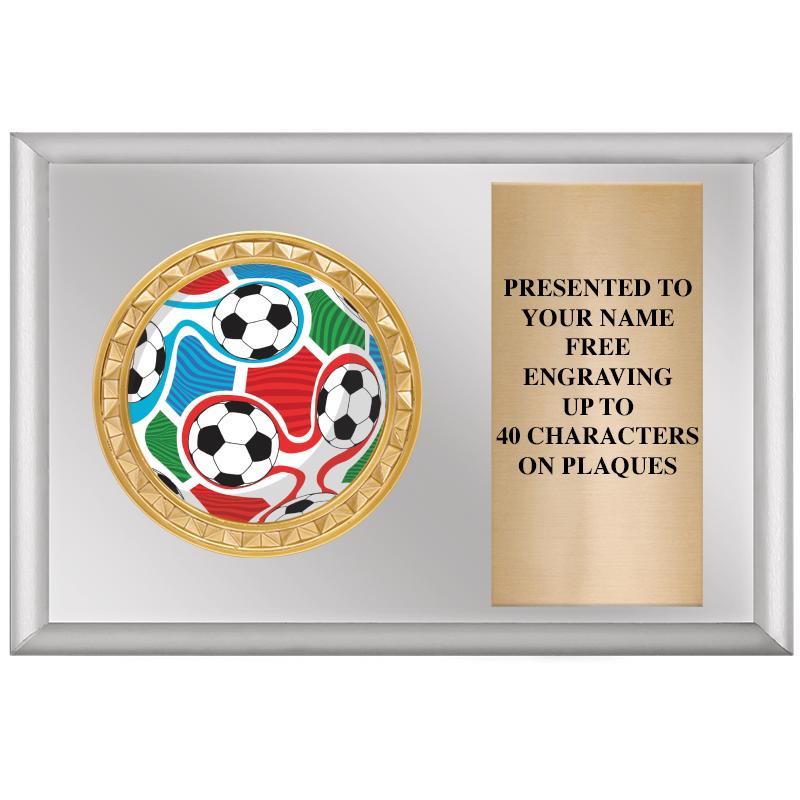 6" X 4" SILVER INSERT PLQ