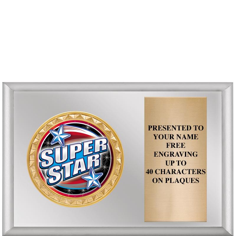 6" X 4" SILVER INSERT PLQ