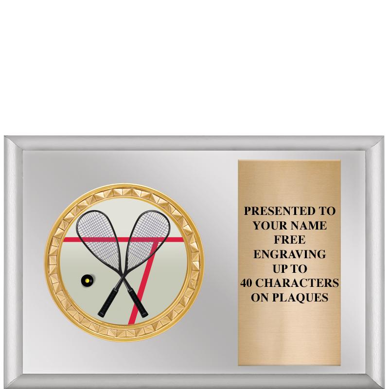 6" X 4" SILVER INSERT PLQ