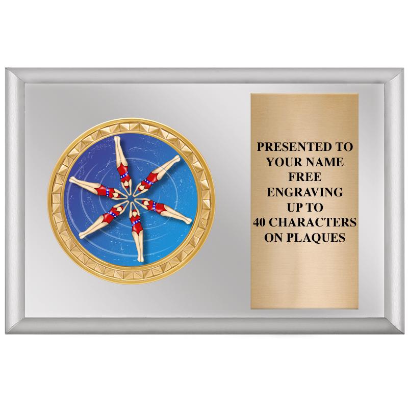 6" X 4" SILVER INSERT PLQ