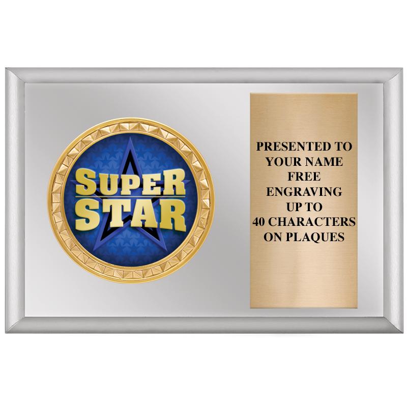 6" X 4" SILVER INSERT PLQ