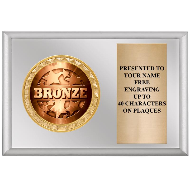 6" X 4" SILVER INSERT PLQ