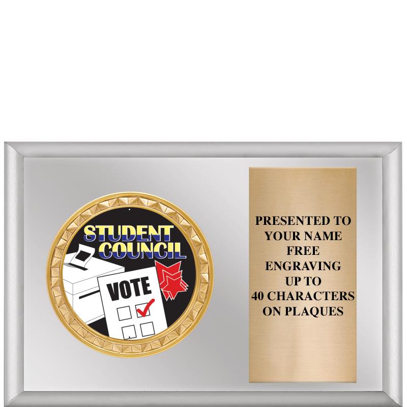 6" X 4" SILVER INSERT PLQ