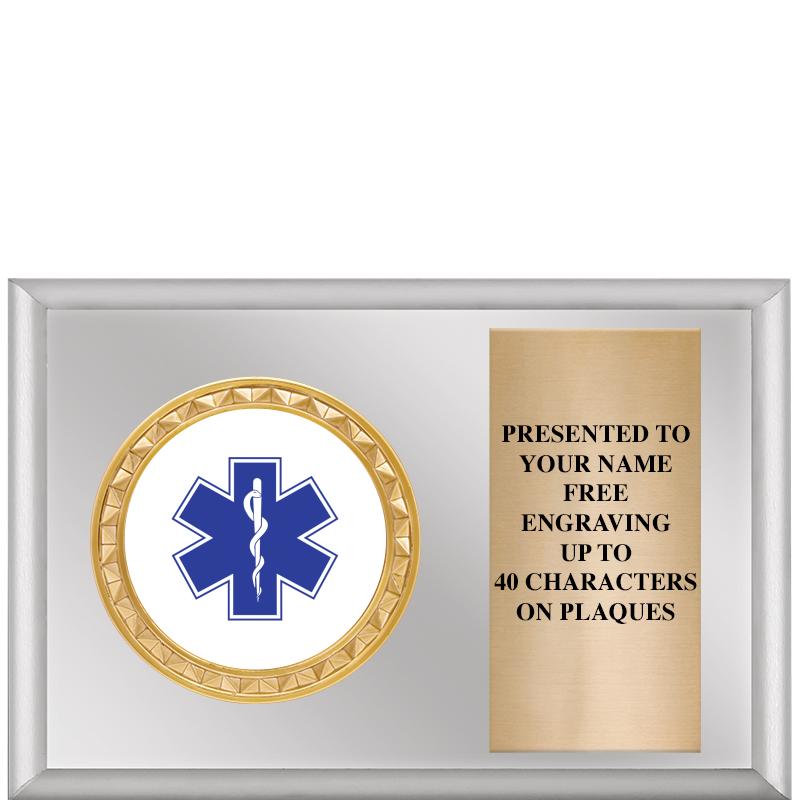 6" X 4" SILVER INSERT PLQ