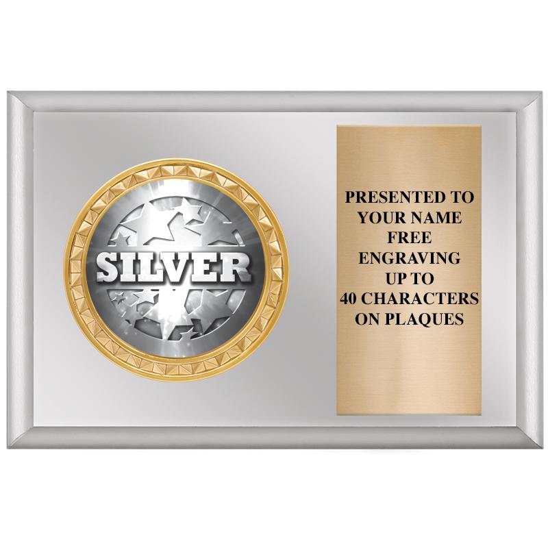 6" X 4" SILVER INSERT PLQ