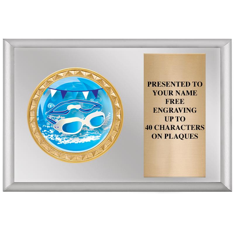 6" X 4" SILVER INSERT PLQ