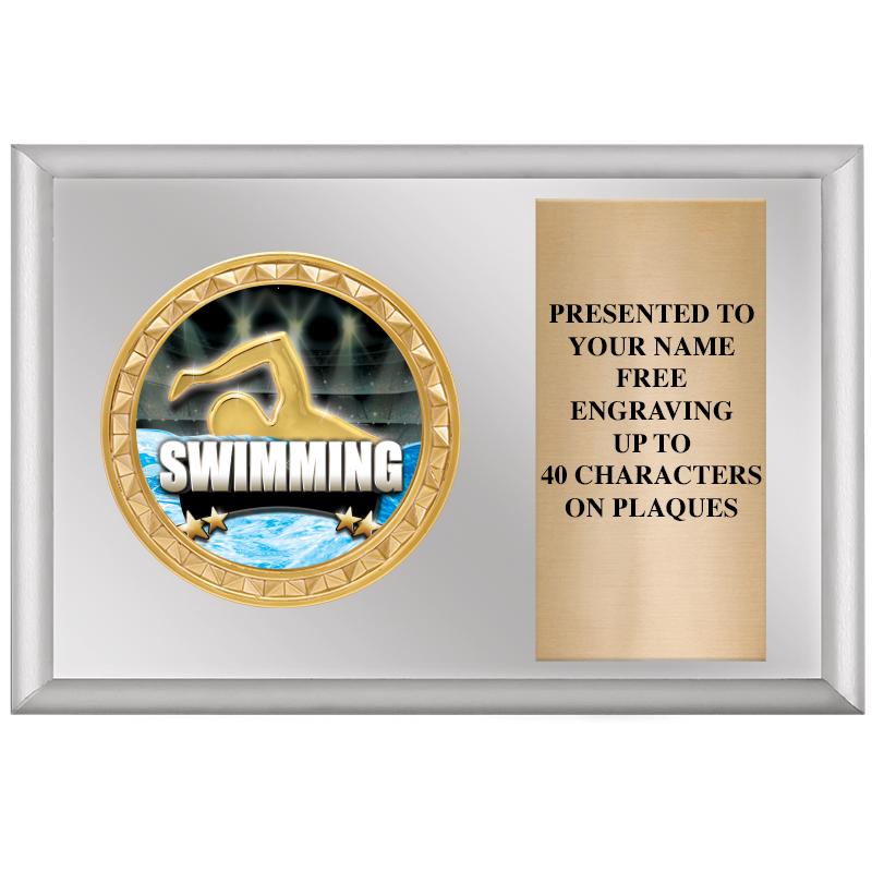 6" X 4" SILVER INSERT PLQ