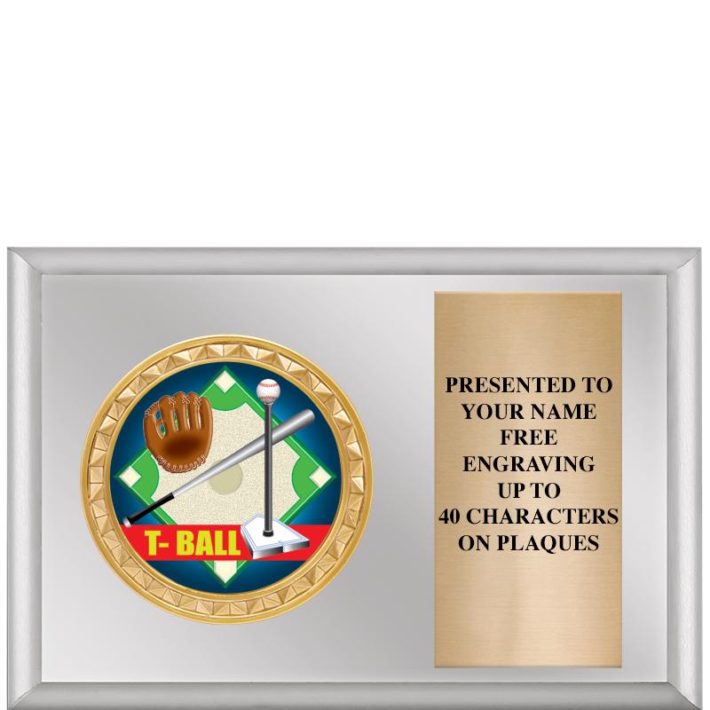 6" X 4" SILVER INSERT PLQ