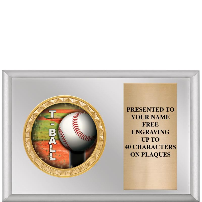 6" X 4" SILVER INSERT PLQ