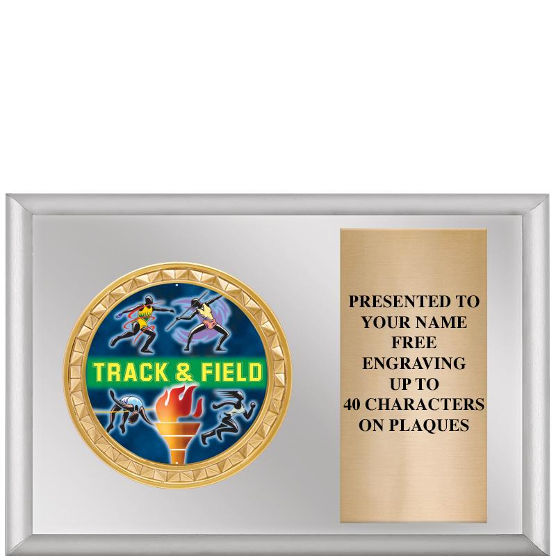 6" X 4" SILVER INSERT PLQ