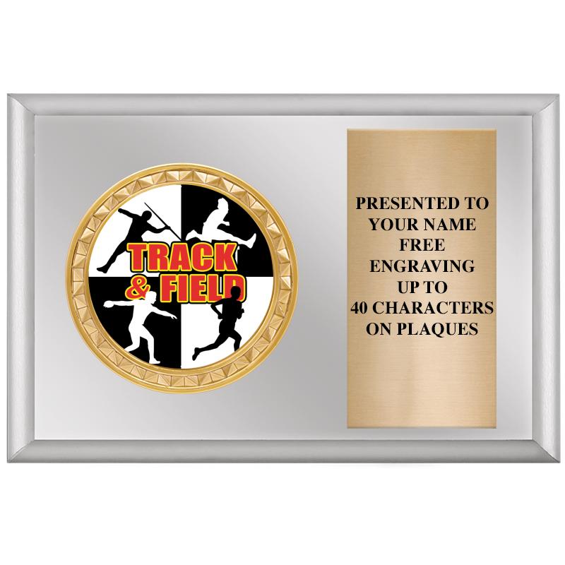 6" X 4" SILVER INSERT PLQ