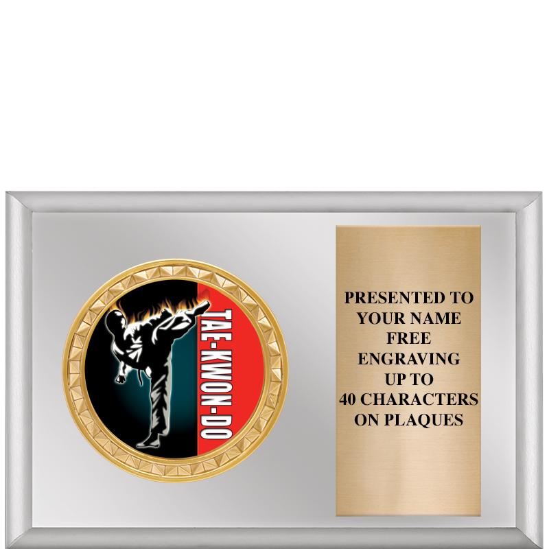 6" X 4" SILVER INSERT PLQ