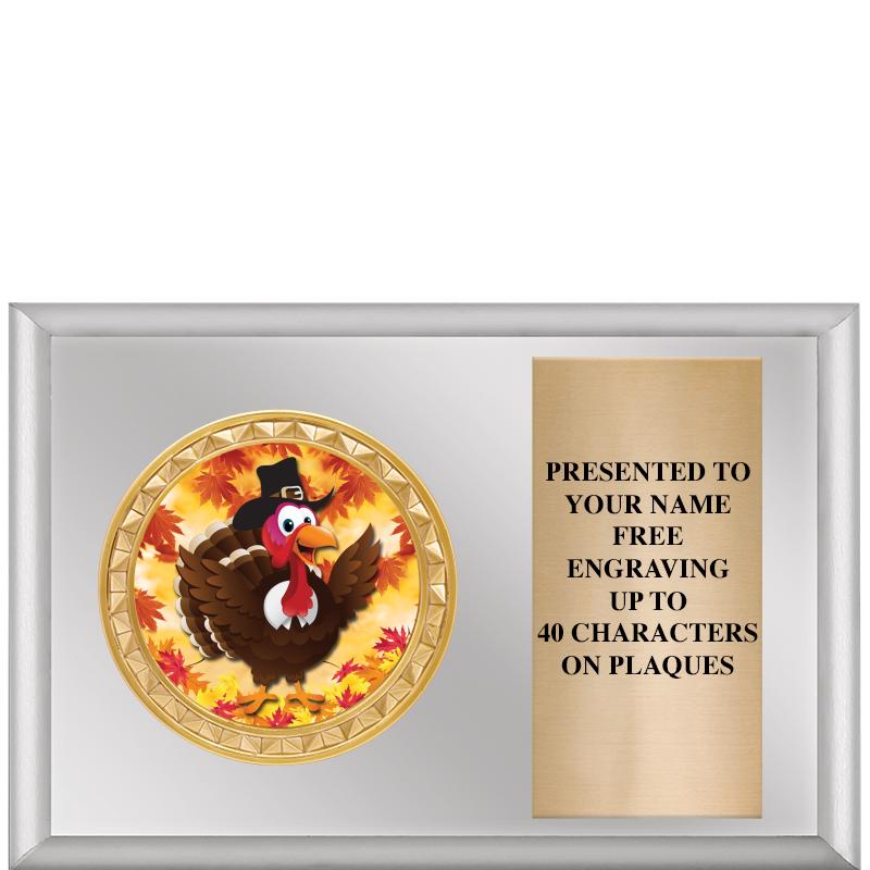 6" X 4" SILVER INSERT PLQ