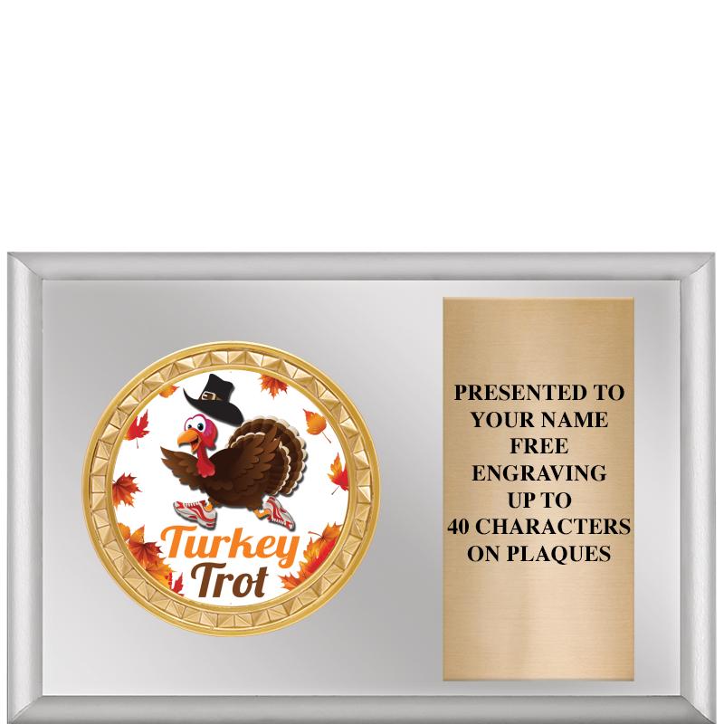 6" X 4" SILVER INSERT PLQ