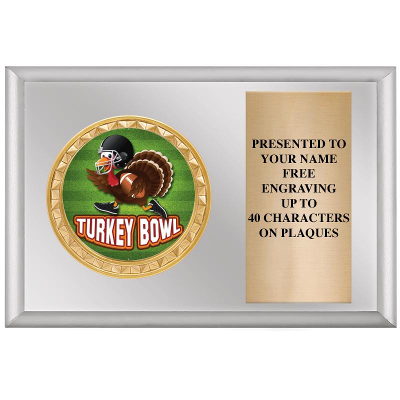 6" X 4" SILVER INSERT PLQ